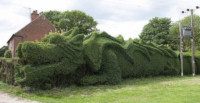 haie-dragon-640x330-large
